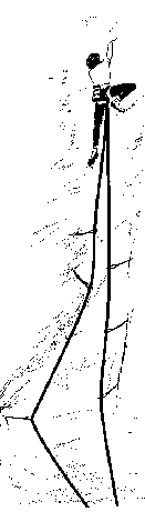 Double Rope Technique 