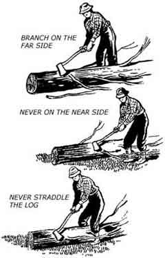 Drawing of limbing guidlines.